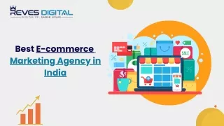 Best E-commerce Marketing Agency - Reves Digital