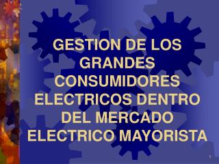 GESTION DE LOS GRANDES CONSUMIDORES ELECTRICOS DENTRO DEL MERCADO ELECTRICO MAYORISTA