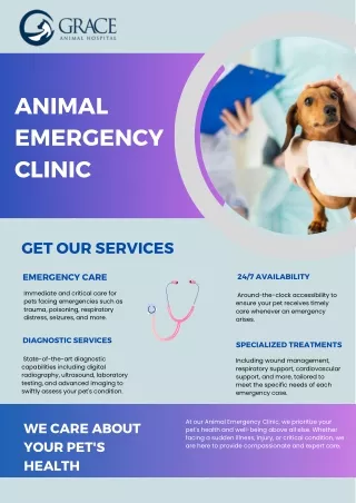 animal emergency clinic