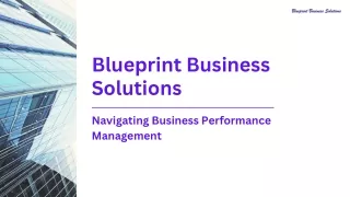 Blueprint Business Solutions, Project Management Solutions