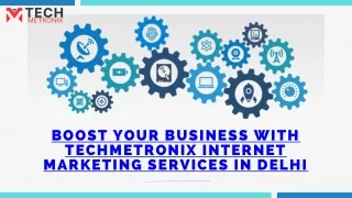 TechMetronix Internet Marketing Services in Delhi