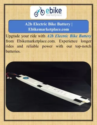 A2b Electric Bike Battery  Ebikemarketplace.com