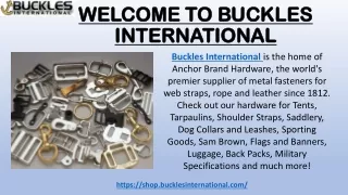 Wholesale Industrial Clips for Sale at Buckles International