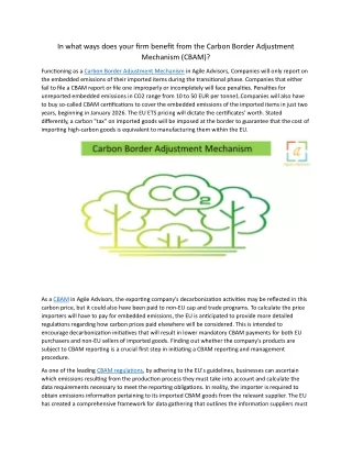 In what ways does your firm benefit from the Carbon Border Adjustment Mechanism 4.7.24