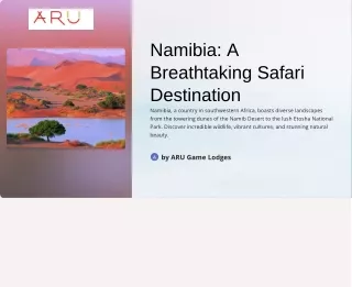 Serenity in the Savannah: Top Namibia Safari Lodges