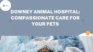 Downey Animal Hospital Compassionate Care for Your Pets