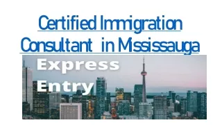 Certified Immigration Consultant  in Mississauga