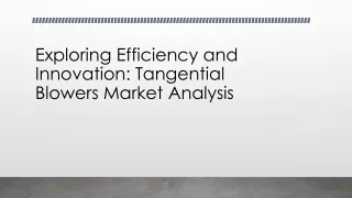 Exploring Efficiency and Innovation