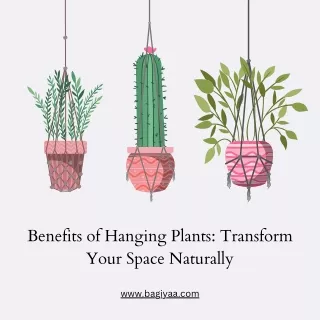 Enhance Your Home with Hanging Plants Key Benefits