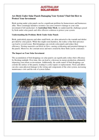 Are Birds Under Solar Panels Damaging Your System - Find Out How to Protect Your Investment