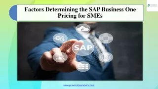 Factors Determining the SAP Business One Pricing for SMEs