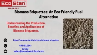 Biomass Briquettes An Eco-Friendly Fuel Alternative