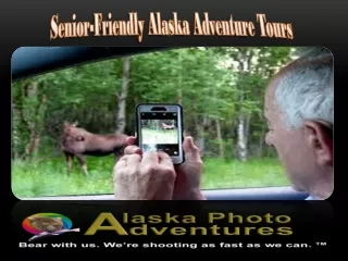 Senior-Friendly Alaska Adventure Tours