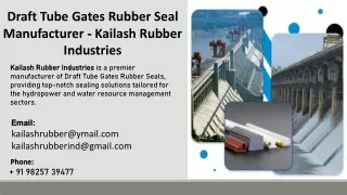 Draft Tube Gates Rubber Seal Manufacturer  - Draft Tube Gates Rubber Seal Manufa