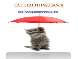 Cat Health Insurance