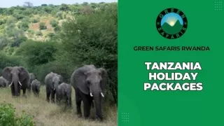 Discover the Magic of Tanzania Top Safari Destinations