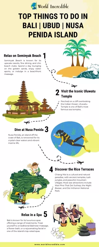 Top Things to Do in Bali Ubud  Nusa Penida Island