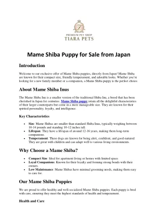 Mame Shiba Puppy for Sale from Japan