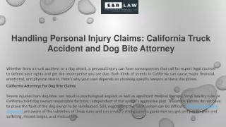 Handling Personal Injury Claims: California Truck Accident and Dog Bite Attorney