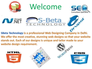 website design services in delhi