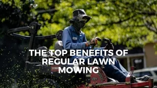 The Top Benefits of Regular Lawn Mowing