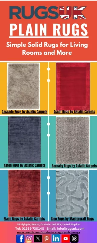 Plain Rugs - Simple Solid Rugs 1st