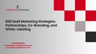 B2B SaaS Marketing Strategies: Partnerships, Co-Branding, and White-Labeling