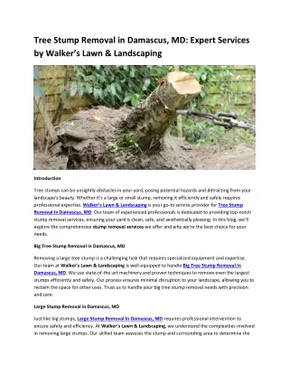 Tree Stump Removal in Damascus, MD Expert Services by Walker’s Lawn & Landscaping