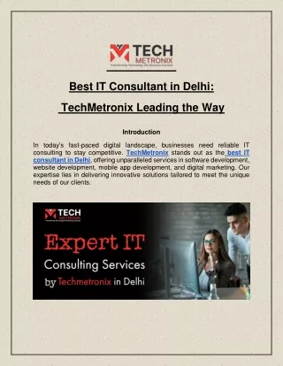 Best IT Consultant in Delhi:TechMetronix Leading the Way