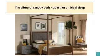 The allure of canopy beds - quest for an ideal sleep