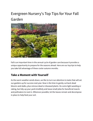 Evergreen Nursery's Top Tips for Your Fall Garden