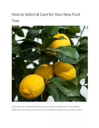 How to Select & Care for Your New Fruit Tree