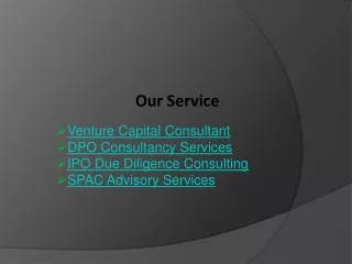 Venture Capital Consultant