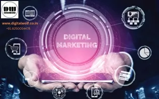 Why is Digital Marketing More Important for Startups Than an Established One?