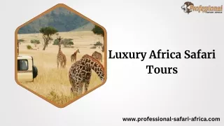 Luxury Africa Safari Tours