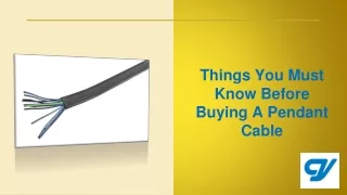 Things You Must Know Before Buying A Pendant Cable