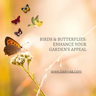 Birds & Butterflies Enhance Your Garden's Appeal