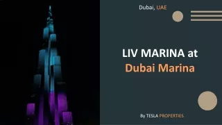 LIV Marina at Dubai Marina By Tesla Properties a Real Estate Investment Company