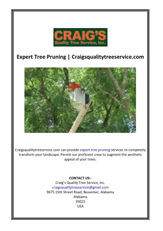 Expert Tree Pruning | Craigsqualitytreeservice.com