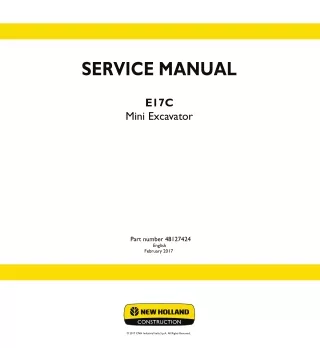 New Holland E17C Mini Excavator Service Repair Manual Instant Download