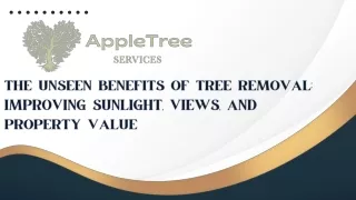 The Unseen Benefits of Tree Removal Improving Sunlight, Views, and Property Value