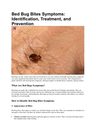 Bed Bug Bites Symptoms
