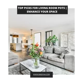 Top Picks for Living Room Pots  Enhance Your Space