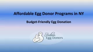 Best Affordable Egg Donor Programs in NY: United States