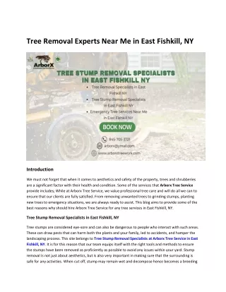 Tree Removal Experts Near Me in East Fishkill