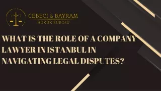 What is the Role of a Company Lawyer in Istanbul in Navigating Legal Disputes?