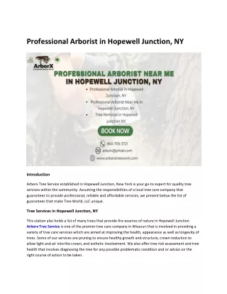 Professional Arborist in Hopewell Junction