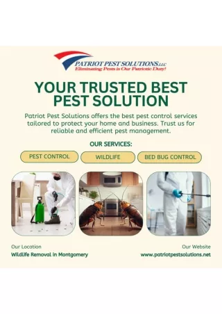 Protect Your Space: Premier Pest Control in Berks, Chester, and Philadelphia,PA