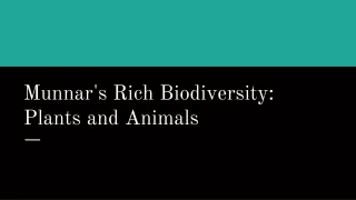 Munnar's Rich Biodiversity: Plants and Animals