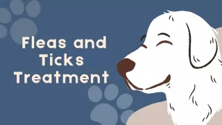 Fleas and Ticks Treatment For Dogs | Our Pet Warehouse